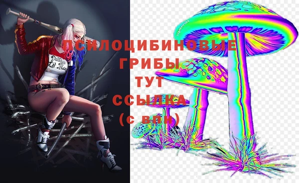 гидропоника Балабаново
