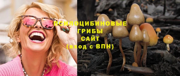 гидропоника Балабаново