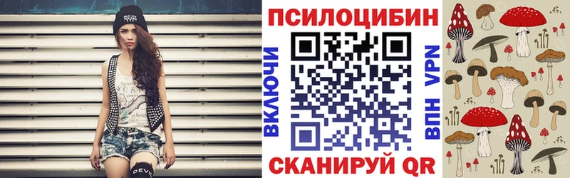 KRAKEN ТОР  Печора  Псилоцибиновые грибы Psilocybine cubensis 